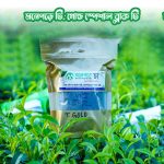 মনেপড়ে টি গোল্ড স্পেশাল চা