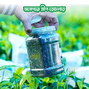 গ্রীণ টি রেগুলার